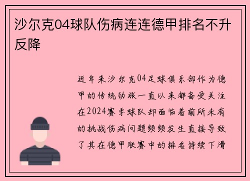 沙尔克04球队伤病连连德甲排名不升反降